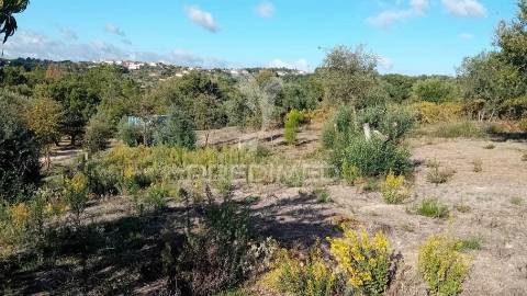 Terreno para construção em coroados