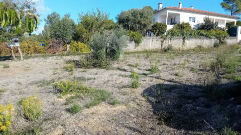 Terreno para construção em coroados