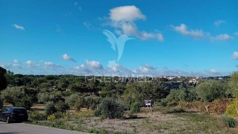 Terreno para construção em coroados