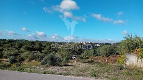 Terreno para construção em coroados