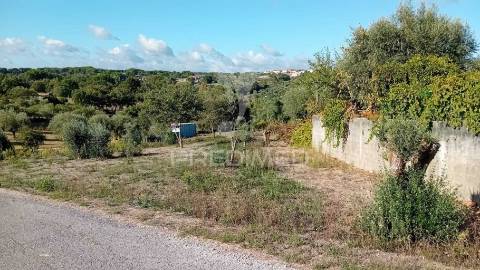 Terreno para construção em coroados