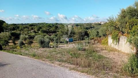 Terreno para construção em coroados