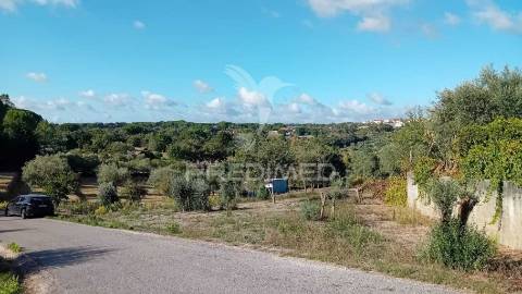 Terreno para construção em coroados