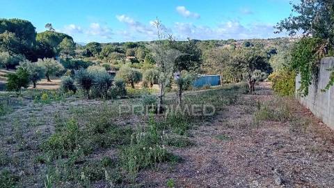 Terreno para construção em coroados