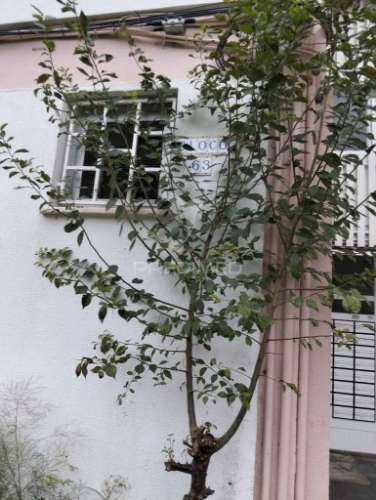 Apartamento t2 - com elevador no vale da amoreira