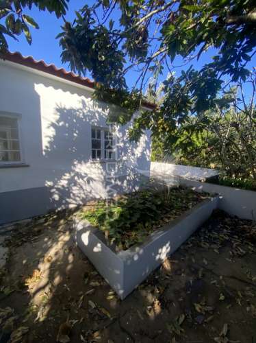 Moradia t3 com terreno e potencial de rentabilidade