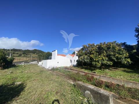 Moradia t3 com terreno e potencial de rentabilidade