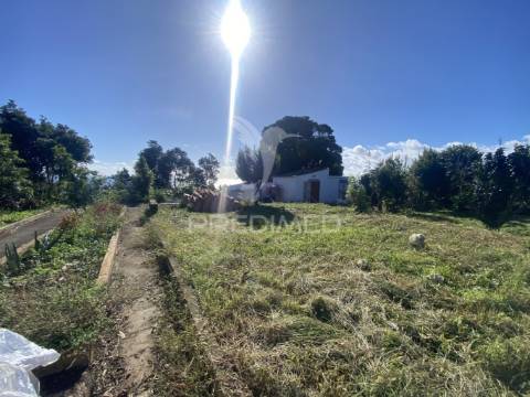 Moradia t3 com terreno e potencial de rentabilidade