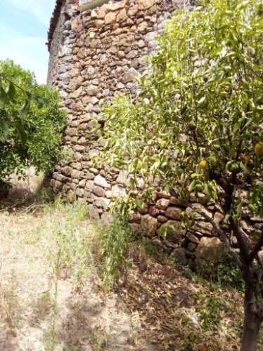 3 moradias à venda em insua, penalva do castelo