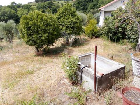 3 moradias à venda em insua, penalva do castelo