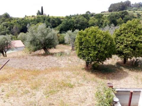 3 moradias à venda em insua, penalva do castelo