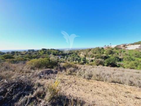 Terreno rústico em alfontes - boliqueime