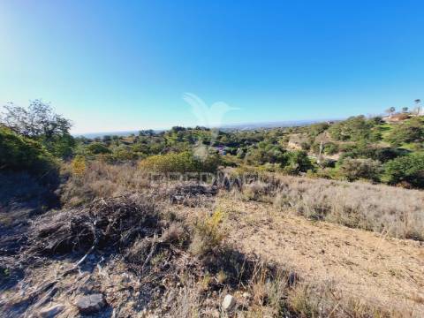 Terreno rústico em alfontes - boliqueime