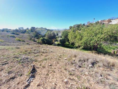 Terreno rústico em alfontes - boliqueime