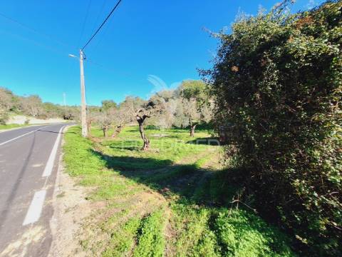 Terreno rústico em alfontes - boliqueime