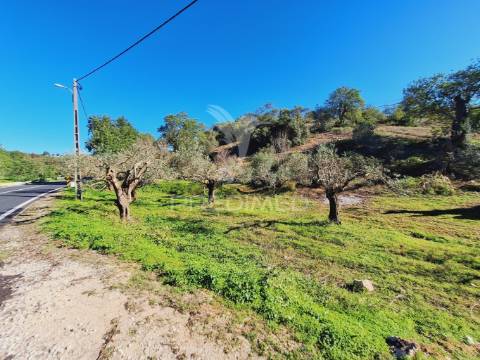 Terreno rústico em alfontes - boliqueime