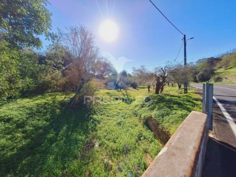Terreno rústico em alfontes - boliqueime