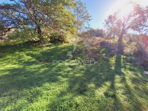 Terreno rústico em alfontes - boliqueime