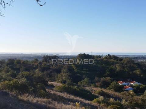 Terreno rústico em alfontes - boliqueime