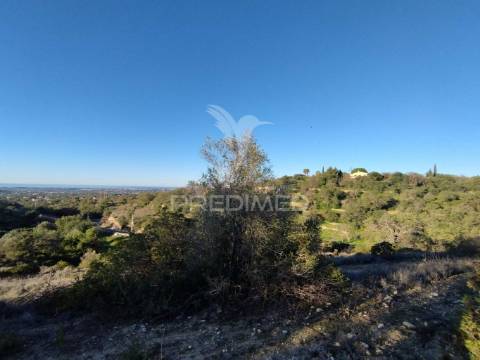 Terreno rústico em alfontes - boliqueime