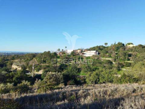 Terreno rústico em alfontes - boliqueime