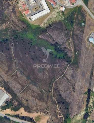 Terreno para  construção – uso misto – campo – valongo  (habitacional + industrial/comercial)