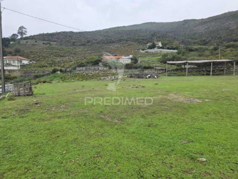 Armazém (serração) zona industrial de carvoeiro