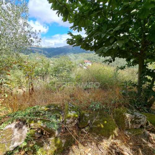 Terreno c/projeto aprovado de vivenda c/pisicina