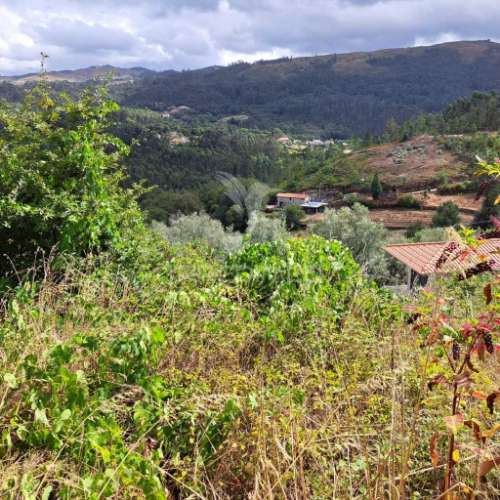 Terreno c/projeto aprovado de vivenda c/pisicina