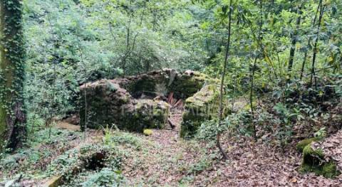Azenha encantadora no coração da natureza — refúgio único junto à água