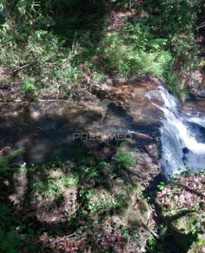 Azenha encantadora no coração da natureza — refúgio único junto à água