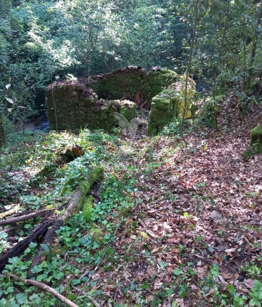 Azenha encantadora no coração da natureza — refúgio único junto à água