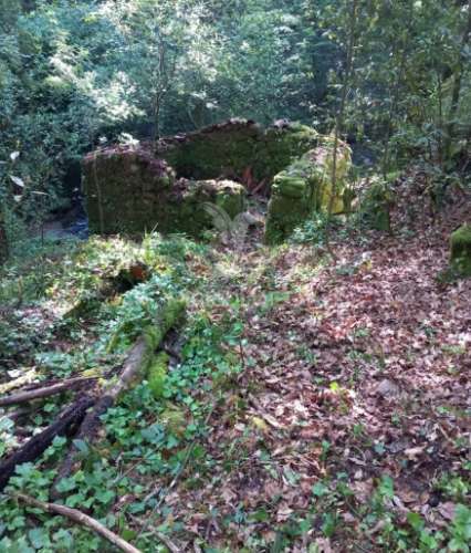 Azenha encantadora no coração da natureza — refúgio único junto à água