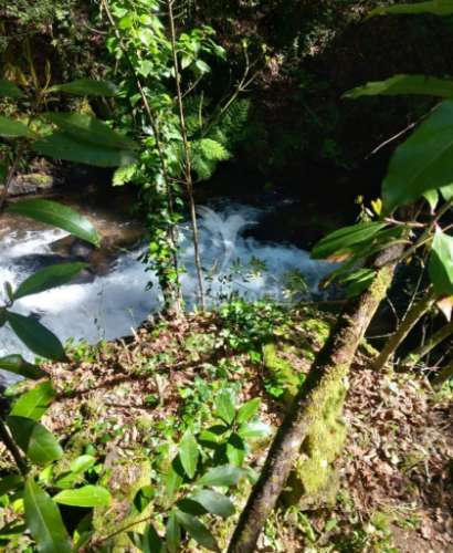Azenha encantadora no coração da natureza — refúgio único junto à água