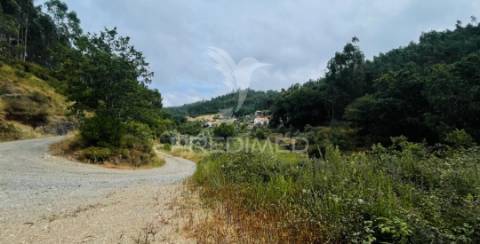 Azenha encantadora no coração da natureza — refúgio único junto à água