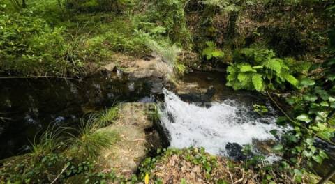 Azenha encantadora no coração da natureza — refúgio único junto à água