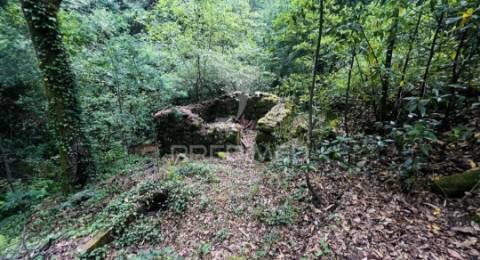 Azenha encantadora no coração da natureza — refúgio único junto à água