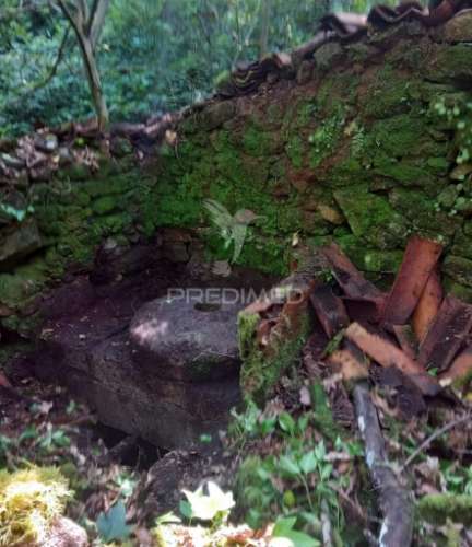 Azenha encantadora no coração da natureza — refúgio único junto à água