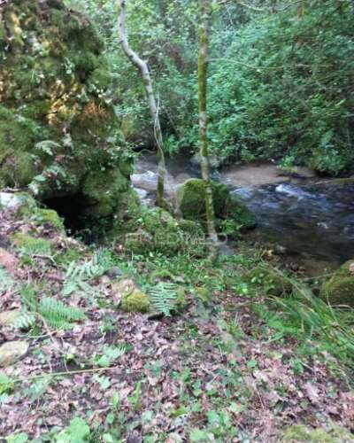 Azenha encantadora no coração da natureza — refúgio único junto à água