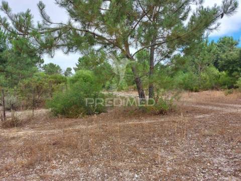 Oportunidade de investimento - loteamento em fase de aprovação