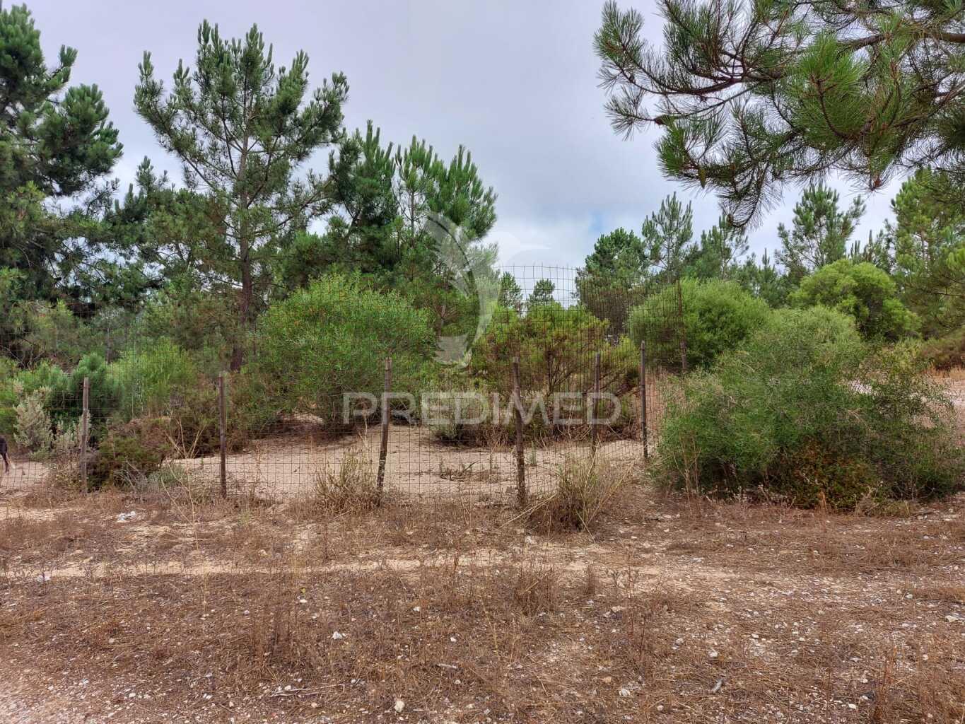 Oportunidade de investimento - loteamento em fase de aprovação