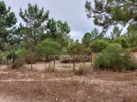 Oportunidade de investimento - loteamento em fase de aprovação