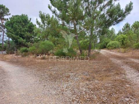 Oportunidade de investimento - loteamento em fase de aprovação