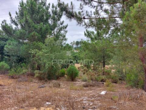 Oportunidade de investimento - loteamento em fase de aprovação