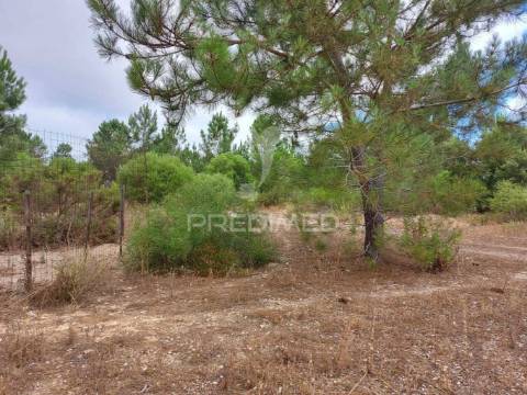 Oportunidade de investimento - loteamento em fase de aprovação