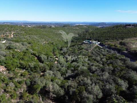 Lote de terreno urbano em fátima – 3.468 m² | excelente oportunidade!