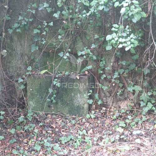 Casa antiga em alpalhão