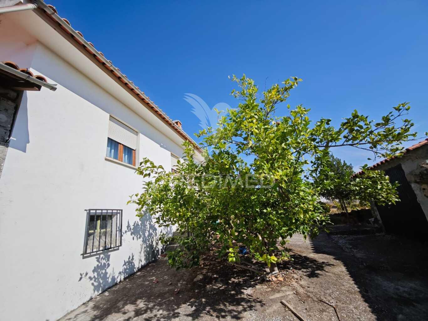 Casa de campo ( peral / proença-a-nova- castelo branco ) t6 de 92m2 em 182m2