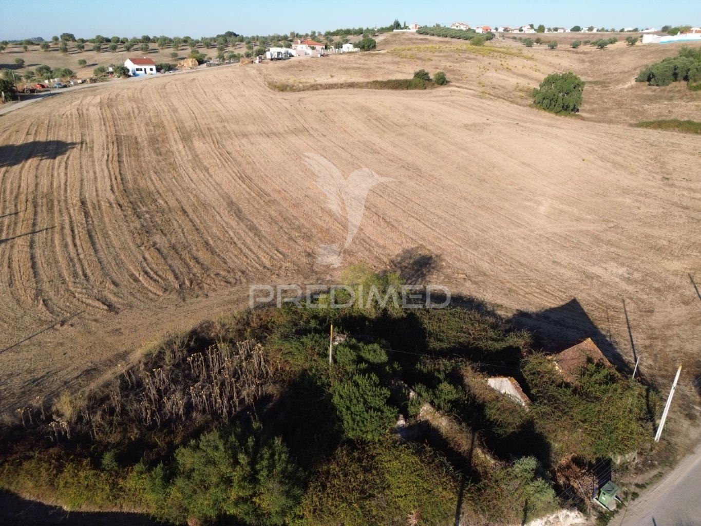 Oportunidade única! moradia t3 para restaurar com terreno - nabais -santarém