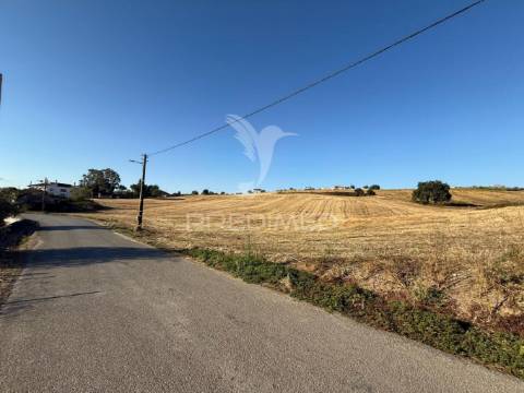 Oportunidade única! moradia t3 para restaurar com terreno - nabais -santarém